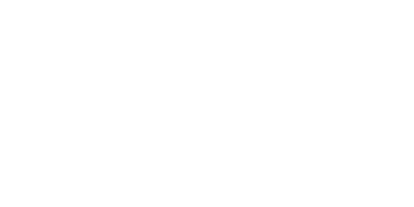 Evolution Gaming logo